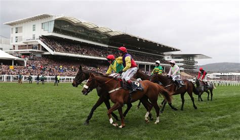 cheltenham race results live